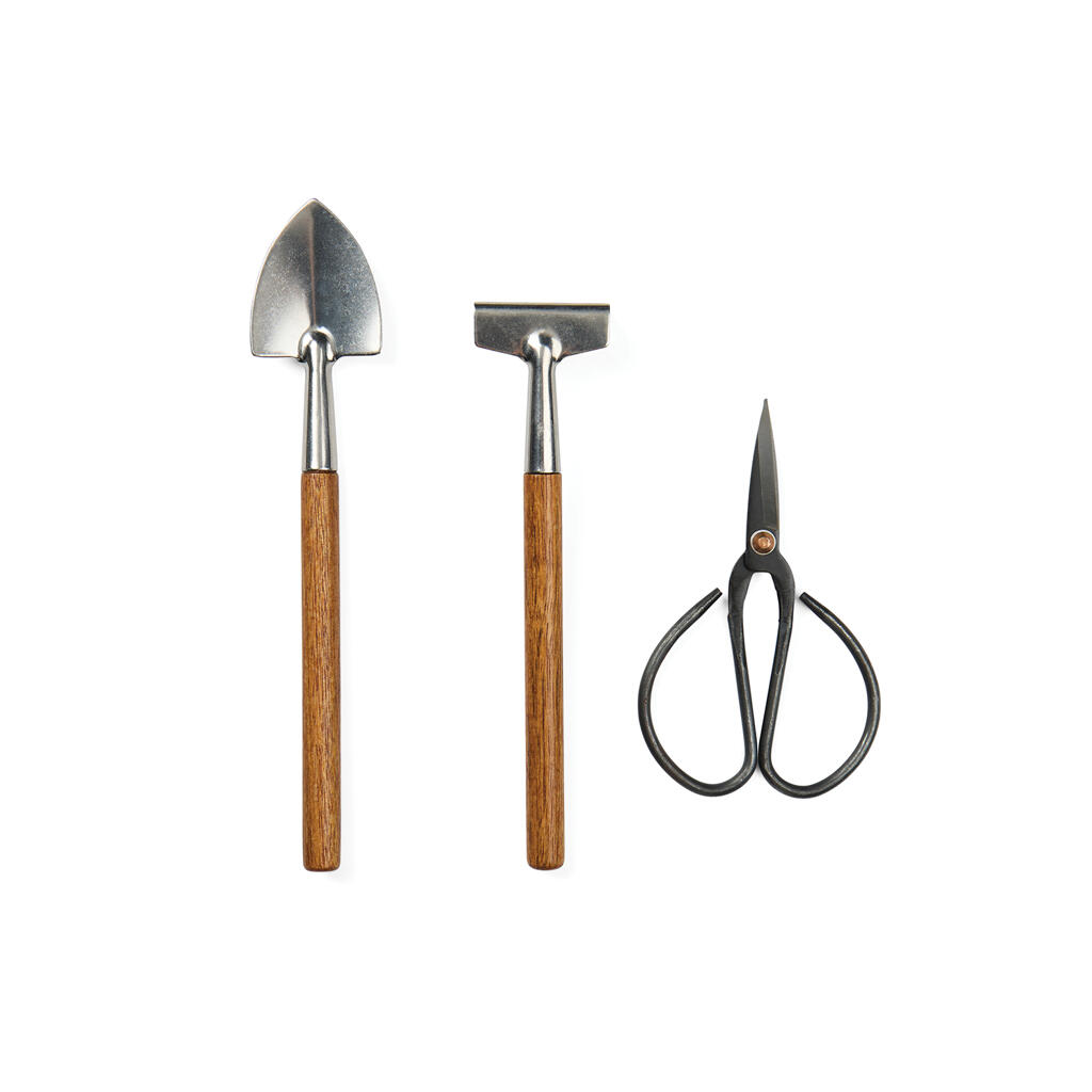 Нет картинки