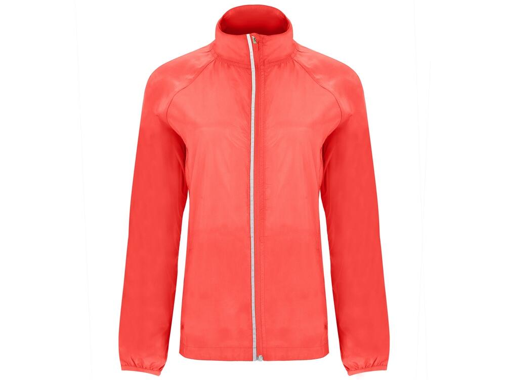 Нет картинки