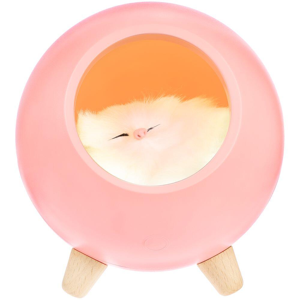 Нет картинки