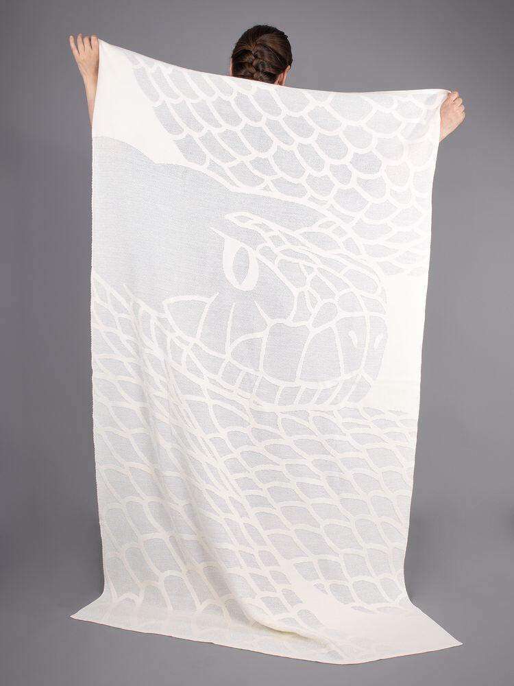 Нет картинки